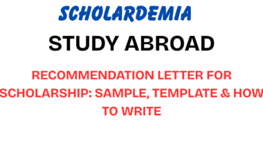 Recommendation Letter for Scholarship: Sample, Template & How to Write