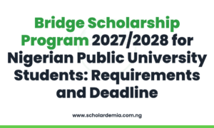 Bridge Scholarship Program 2027/2028 for Nigerian Public University Students: Requirements and Deadline