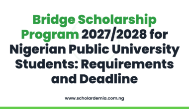Bridge Scholarship Program 2027/2028 for Nigerian Public University Students: Requirements and Deadline