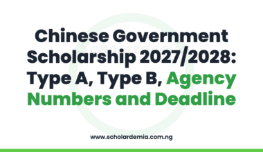Chinese Government Scholarship 2027/2028: Type A, Type B, Agency Numbers and Deadline