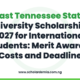 East Tennessee State University Scholarships 2027 for International Students: Merit Awards, Costs and Deadline