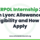 INTERPOL Internship 2027 in Lyon: Allowance, Eligibility and How to Apply