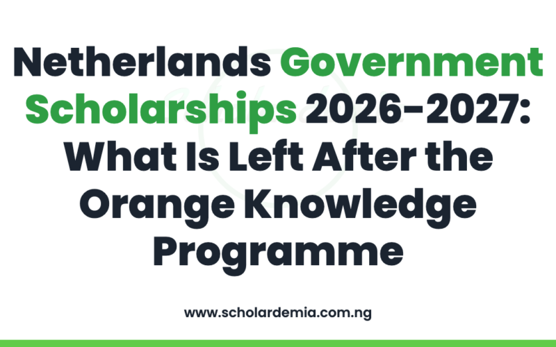 Netherlands Government Scholarships 2026-2027: What Is Left After the Orange Knowledge Programme