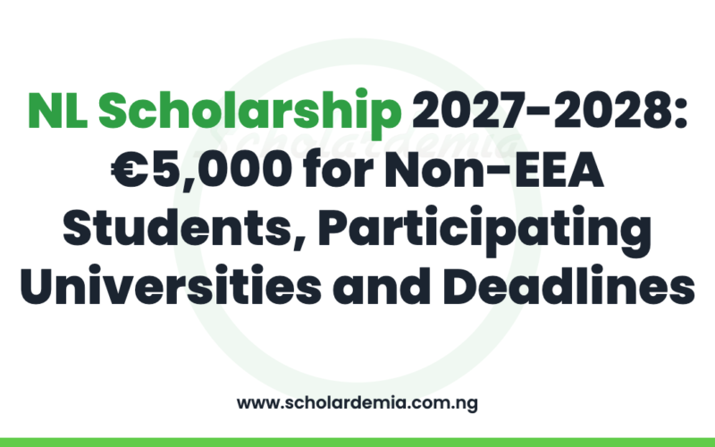 NL Scholarship 2027-2028: €5,000 for Non-EEA Students, Participating Universities and Deadlines