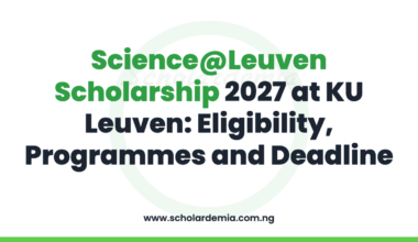 Science@Leuven Scholarship 2027 at KU Leuven: Eligibility, Programmes and Deadline