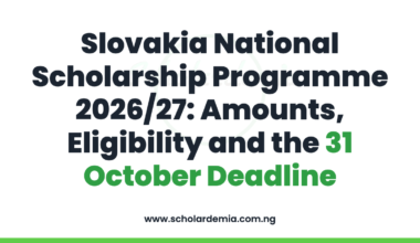 Slovakia National Scholarship Programme 2026/27: Amounts, Eligibility and the 31 October Deadline