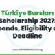 Türkiye Bursları Scholarship 2027: Stipends, Eligibility and Deadline